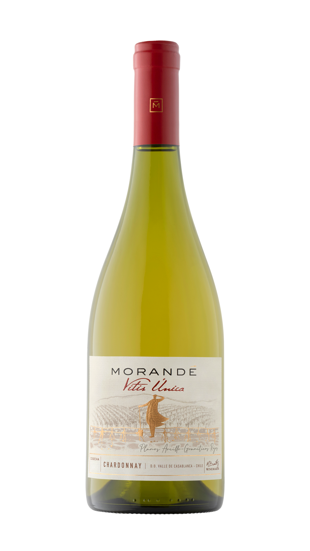 MORANDE Vitis Unica Chardonnay 2021 750ml