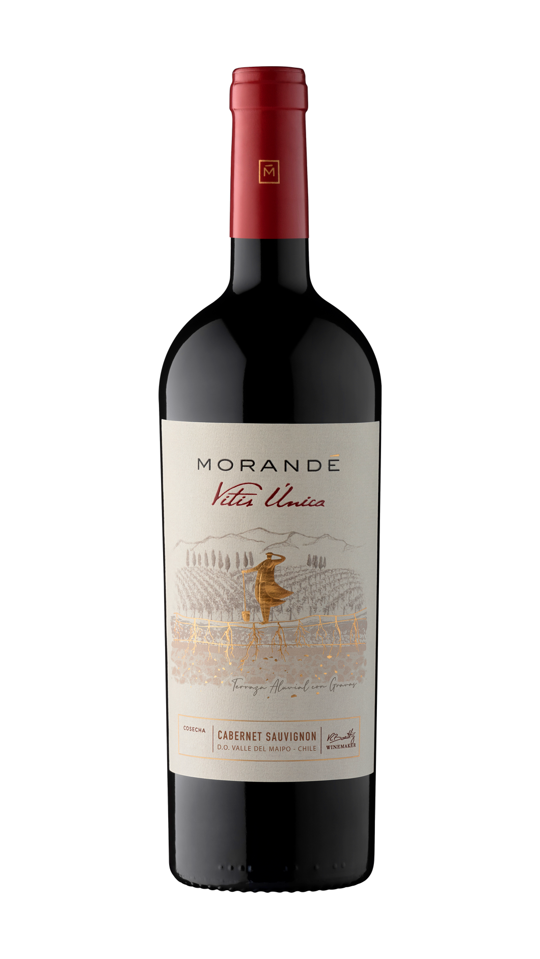 MORANDE Vitis Unica Cabernet Sauvignon 2021 750ml